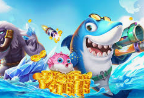 壹号.ccm下载168免费版